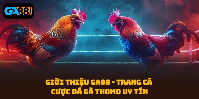 Cá cược đá gà trực tiếp Ga88