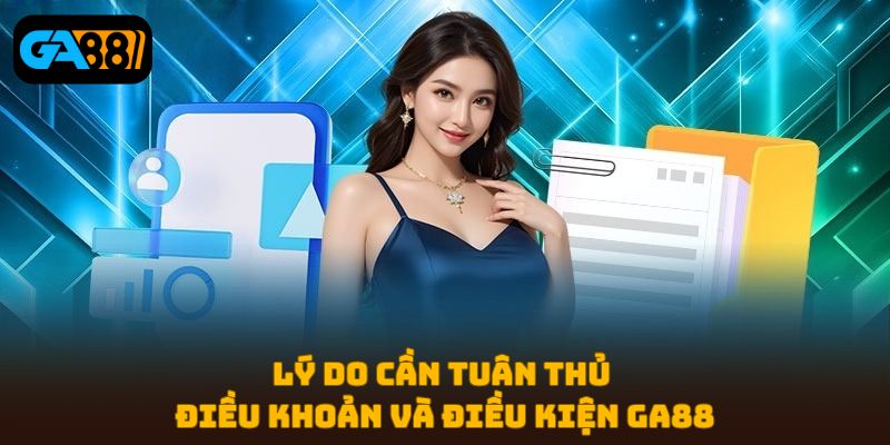 điều khoản và điều kiện
