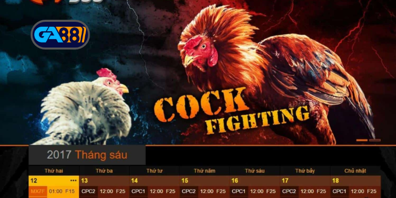Giao diện trận đấu SV388 phát sóng trực tiếp tại Ga88