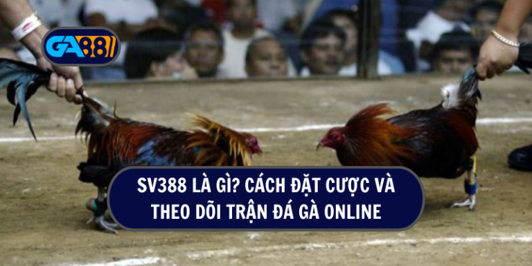 SV388 là gì