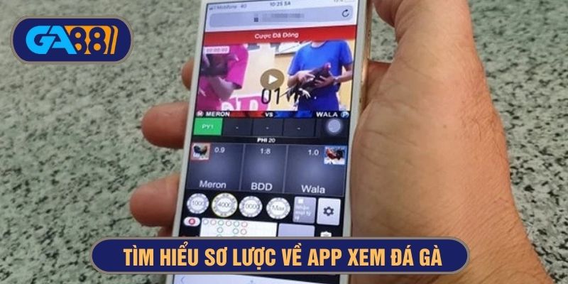 App xem đá gà tích hợp nhỏ gọn trên điện thoại