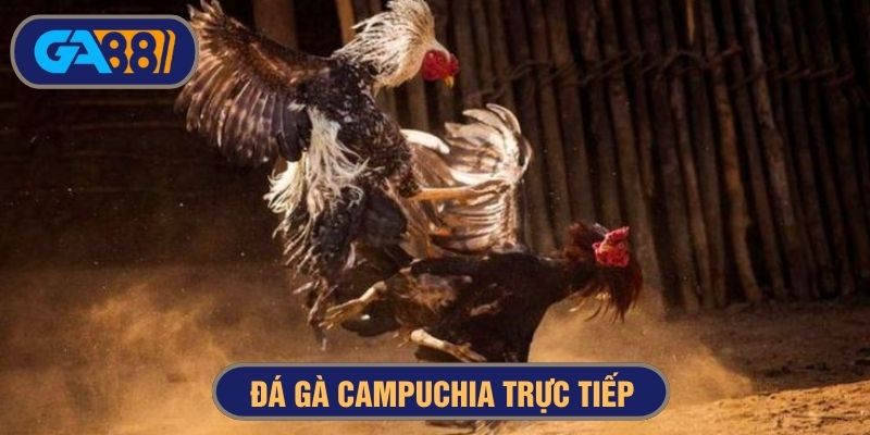 Theo dõi các trận chiến kê đầy kịch tính, phát sóng trực tiếp tại Ga88