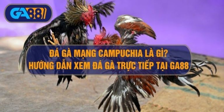 Đá gà mạng Campuchia là gì? Cách xem gà đá Campuchia Thomo tại Ga88