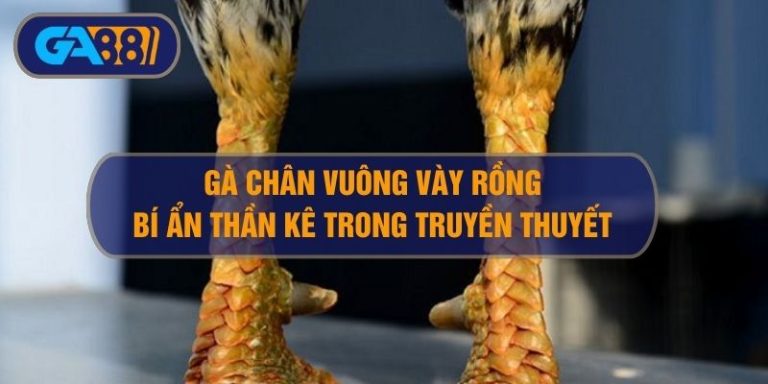Gà chân vuông vảy rồng - Bí ẩn giống thần kê trong truyền thuyết
