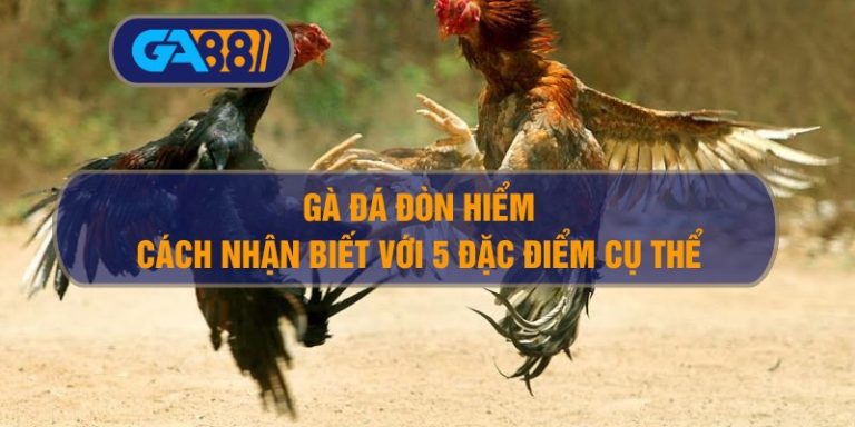 Cách nhận biết gà đá đòn hiểm – 5 đặc điểm dân chơi phải biết