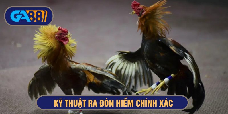 Khả năng chớp thời cơ và xuất chiêu chính xác