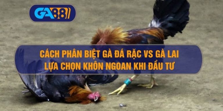 Cách Phân Biệt Gà Đá Rặc Vs Gà Lai – Lựa Chọn Khôn Ngoan Khi Đầu Tư