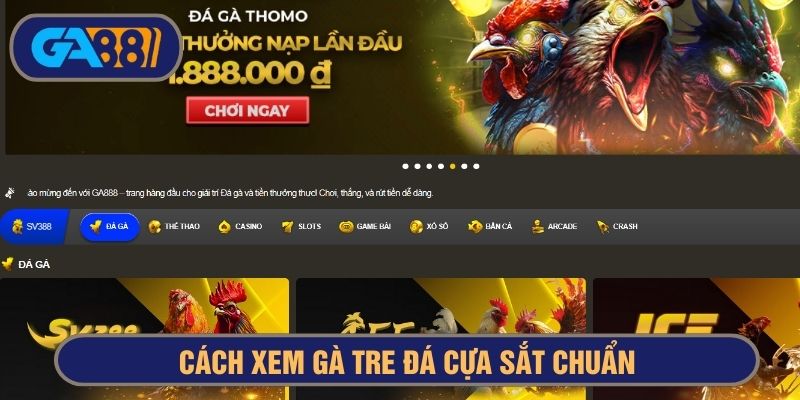 Xem gà tre đá cựa sắt đơn giản, nhanh chóng ở GA88