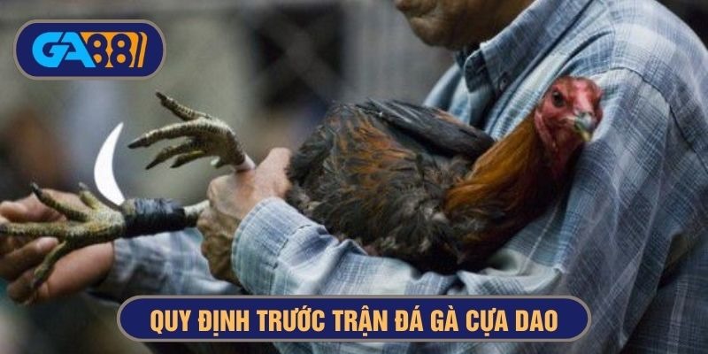 Trước khi tham gia trận đấu phải trải qua quy trình kiểm tra