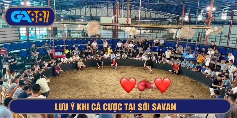 Lưu ý cần thiết khi đến cá cược tại Savan
